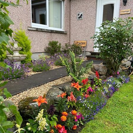 Treetops Bungalow Loch Ness Drumnadrochit Buitenkant foto