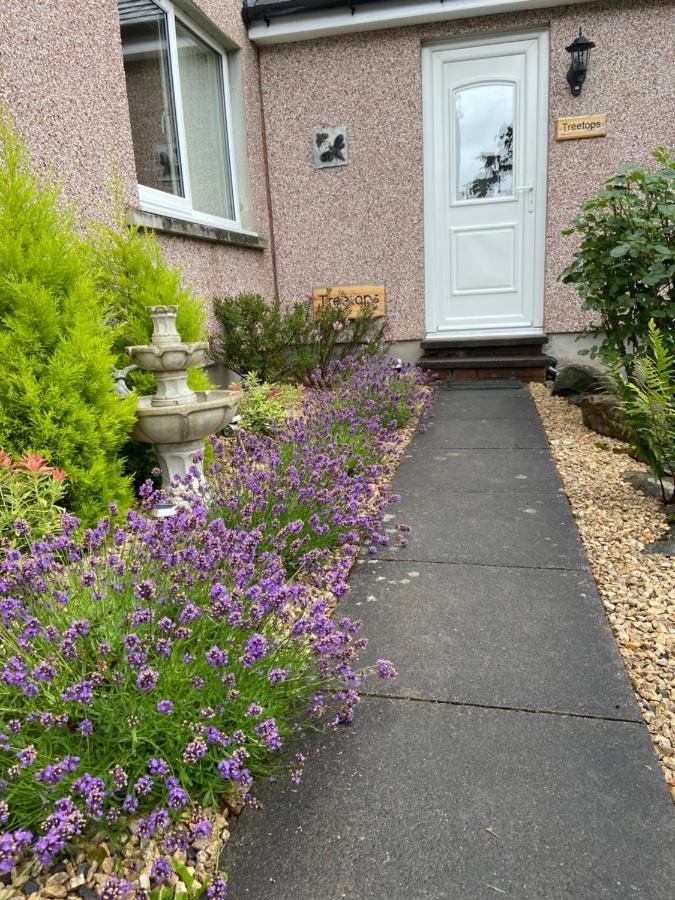 Treetops Bungalow Loch Ness Drumnadrochit Buitenkant foto